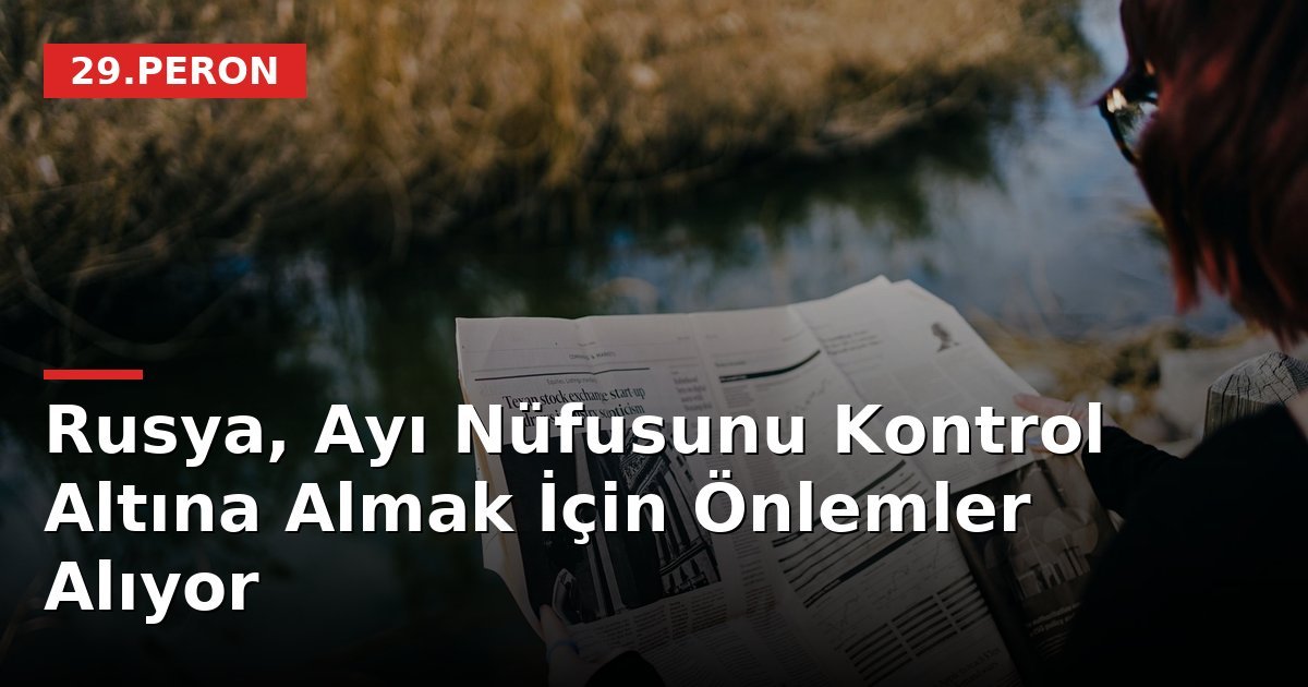 Rusya, Ayı Nüfusunu Kontrol Altına Almak İçin Önlemler Alıyor