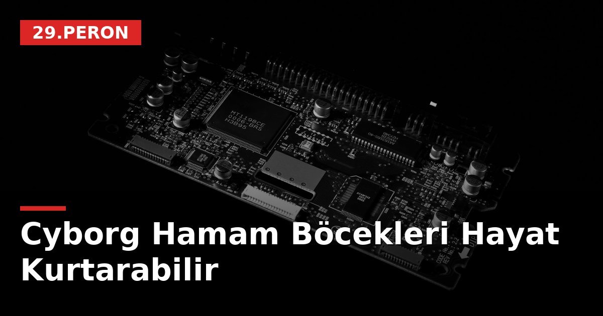 Cyborg Hamam Böcekleri Hayat Kurtarabilir