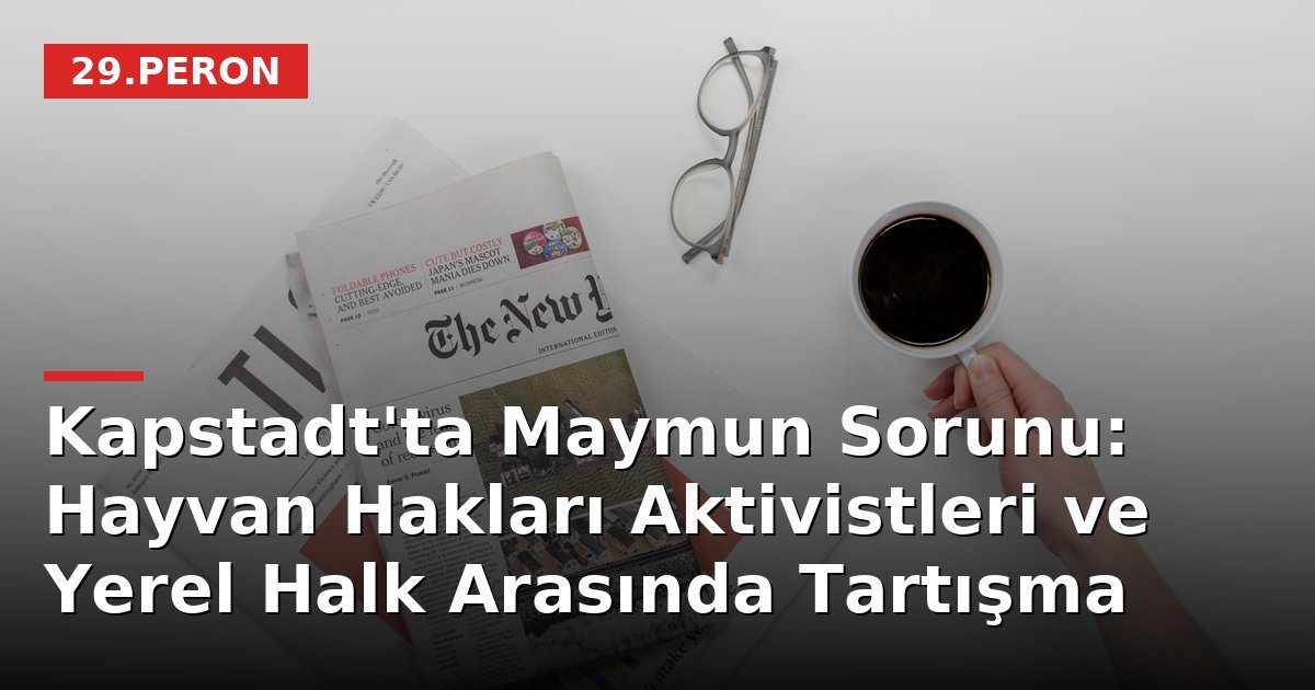 Kapstadt'ta Maymun Sorunu: Hayvan Hakları Aktivistleri ve Yerel Halk Arasında Tartışma