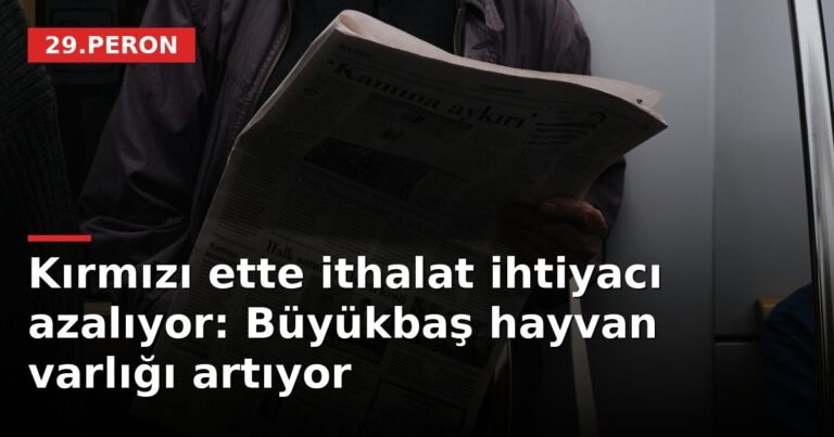 Kırmızı ette ithalat ihtiyacı azalıyor: Büyükbaş hayvan varlığı artıyor