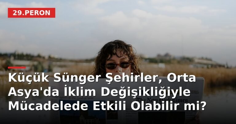Küçük Sünger Şehirler, Orta Asya'da İklim Değişikliğiyle Mücadelede Etkili Olabilir mi?