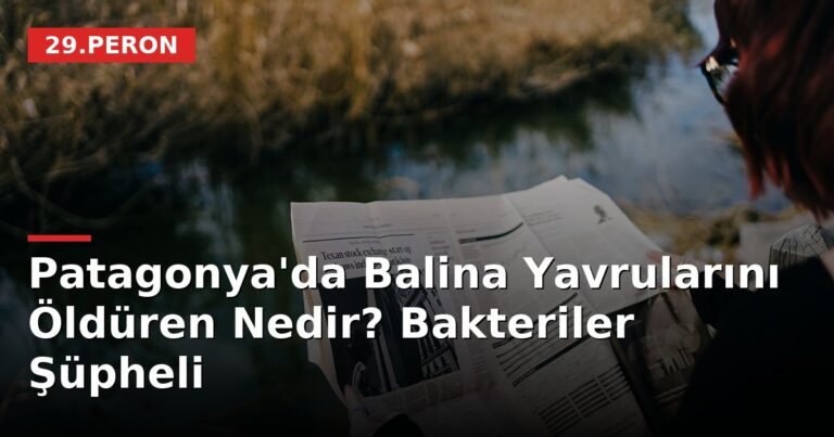 Patagonya'da Balina Yavrularını Öldüren Nedir? Bakteriler Şüpheli