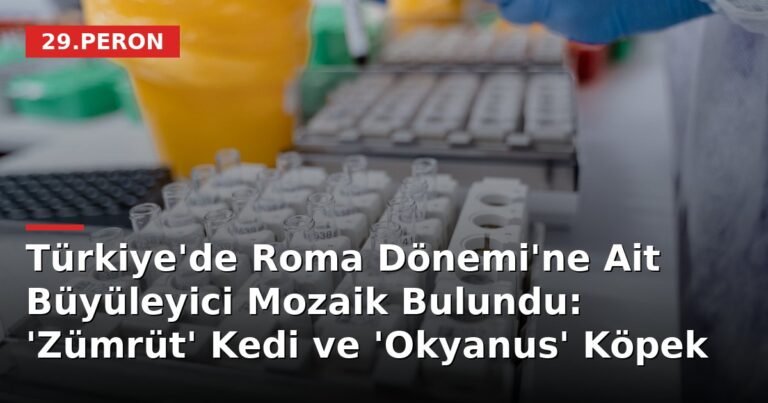 Türkiye'de Roma Dönemi'ne Ait Büyüleyici Mozaik Bulundu: 'Zümrüt' Kedi ve 'Okyanus' Köpek