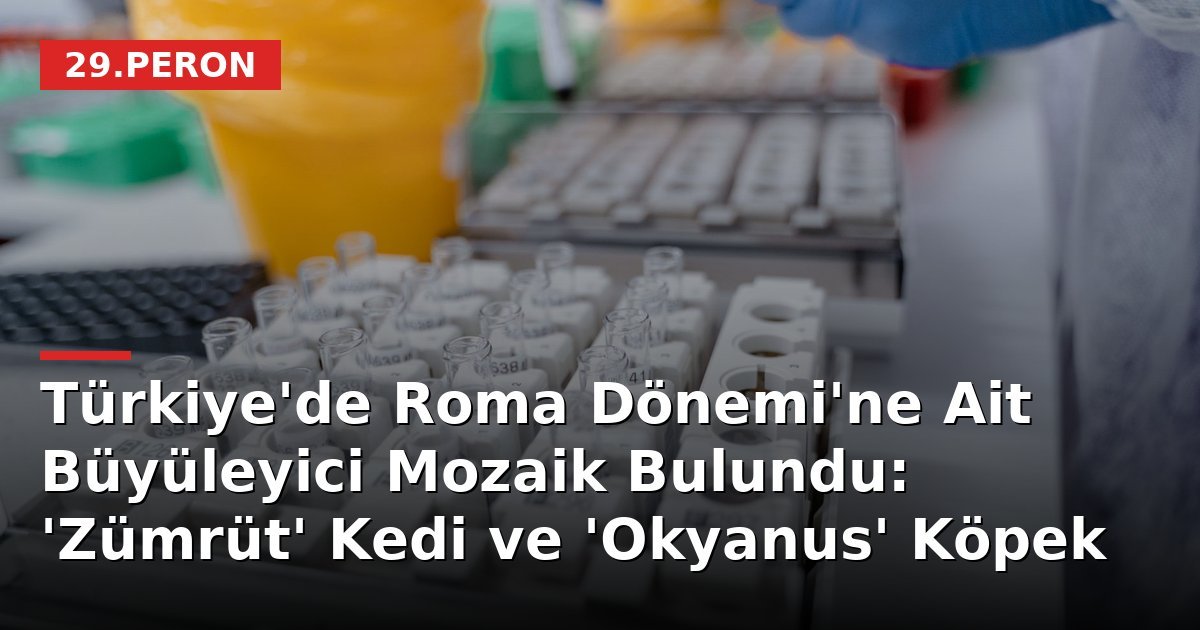 Türkiye'de Roma Dönemi'ne Ait Büyüleyici Mozaik Bulundu: 'Zümrüt' Kedi ve 'Okyanus' Köpek