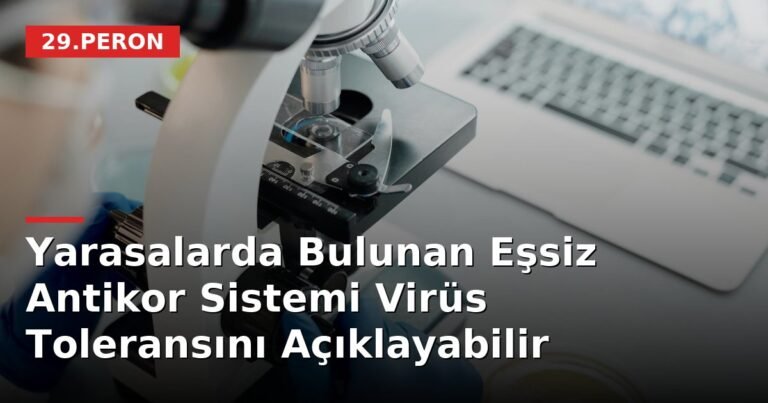 Yarasalarda Bulunan Eşsiz Antikor Sistemi Virüs Toleransını Açıklayabilir