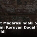Chauvet Mağarası'ndaki Sanat Eserlerini Koruyan Doğal Vernik Keşfedildi