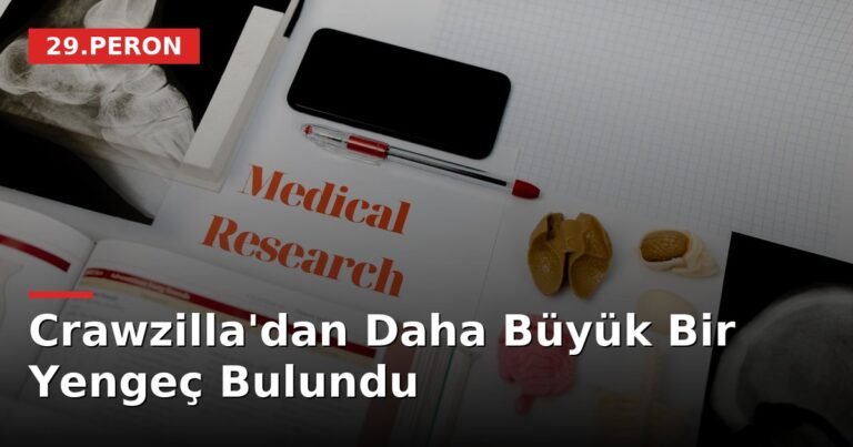 Crawzilla'dan Daha Büyük Bir Yengeç Bulundu