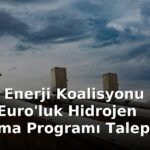 Avrupa Enerji Koalisyonu 1 Milyar Euro'luk Hidrojen Araştırma Programı Talep Ediyor