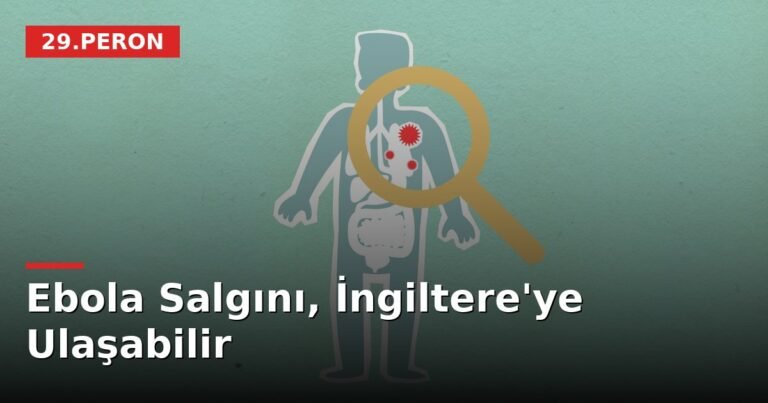 Ebola Salgını, İngiltere'ye Ulaşabilir