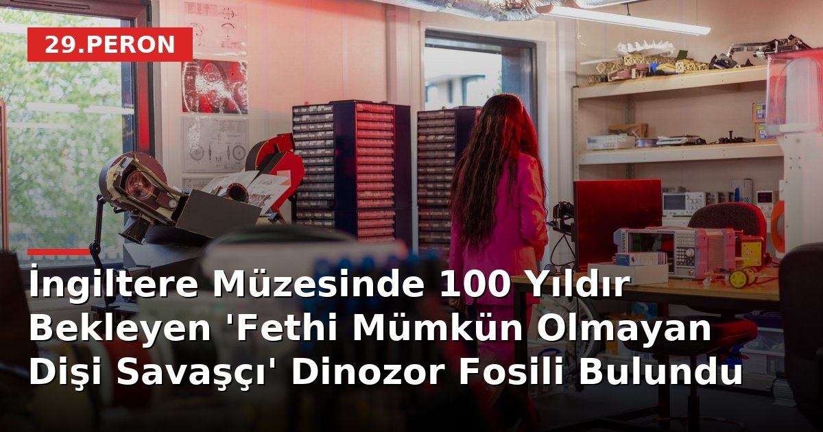 İngiltere Müzesinde 100 Yıldır Bekleyen 'Fethi Mümkün Olmayan Dişi Savaşçı' Dinozor Fosili Bulundu