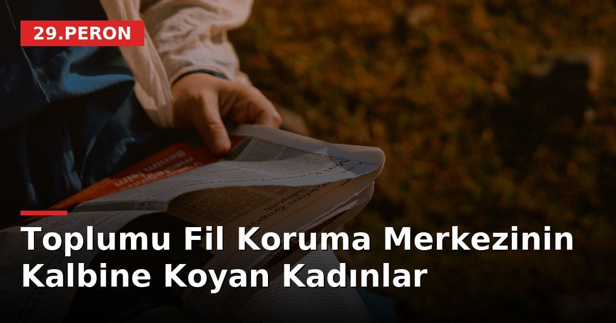 Toplumu Fil Koruma Merkezinin Kalbine Koyan Kadınlar