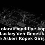 genetik olarak modifiye köpekler: Palmer Luckey'den Genetik Olarak Modifiye Askeri Köpek Girişimi