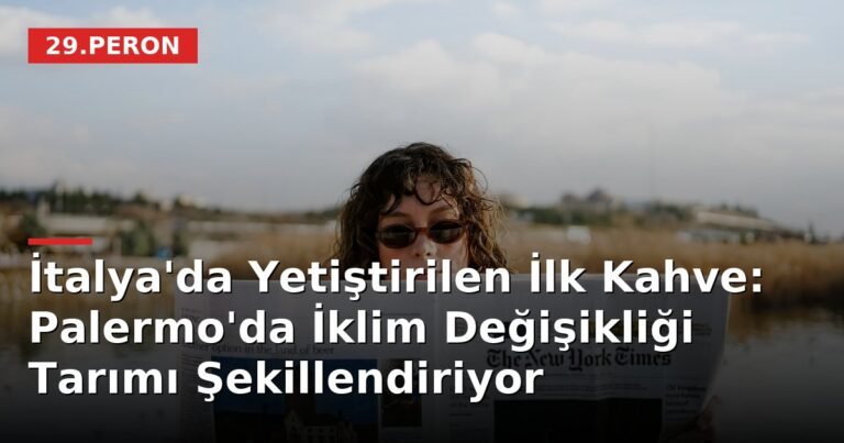 İtalya'da Yetiştirilen İlk Kahve: Palermo'da İklim Değişikliği Tarımı Şekillendiriyor