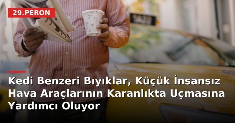 Kedi Benzeri Bıyıklar, Küçük İnsansız Hava Araçlarının Karanlıkta Uçmasına Yardımcı Oluyor
