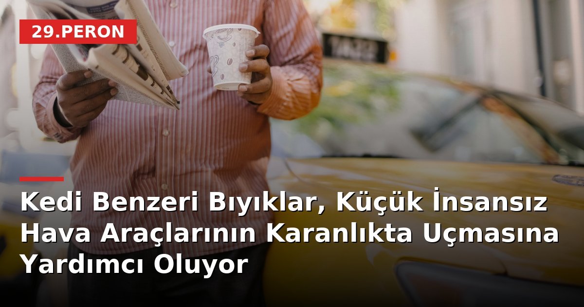 Kedi Benzeri Bıyıklar, Küçük İnsansız Hava Araçlarının Karanlıkta Uçmasına Yardımcı Oluyor