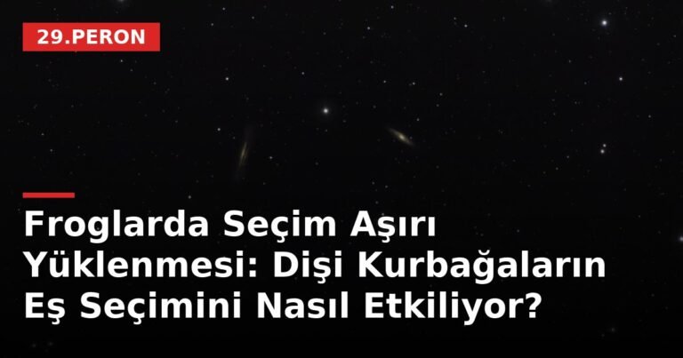 Froglarda Seçim Aşırı Yüklenmesi: Dişi Kurbağaların Eş Seçimini Nasıl Etkiliyor?