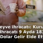kuru meyve ihracatı: Kuru Meyve İhracatı 9 Ayda 183,9 Milyon Dolar Gelir Elde Etti