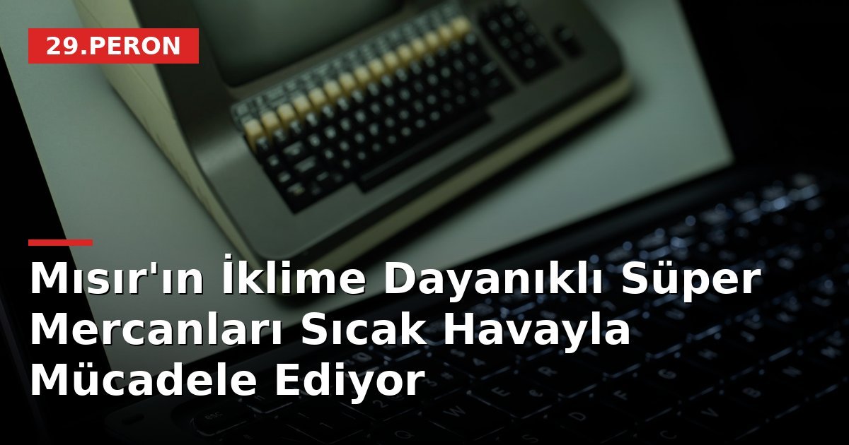 Mısır'ın İklime Dayanıklı Süper Mercanları Sıcak Havayla Mücadele Ediyor