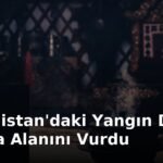 Mongolistan'daki Yangın Doğa Koruma Alanını Vurdu