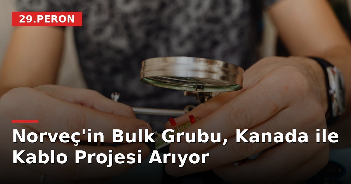 Norveç'in Bulk Grubu, Kanada ile Kablo Projesi Arıyor