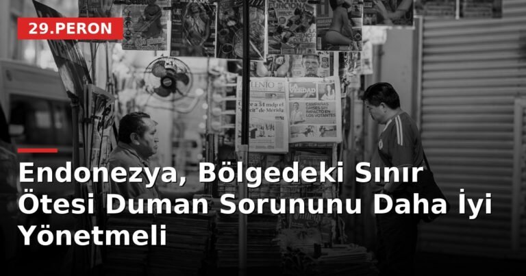 Endonezya, Bölgedeki Sınır Ötesi Duman Sorununu Daha İyi Yönetmeli