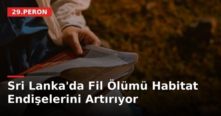 Sri Lanka'da Fil Ölümü Habitat Endişelerini Artırıyor