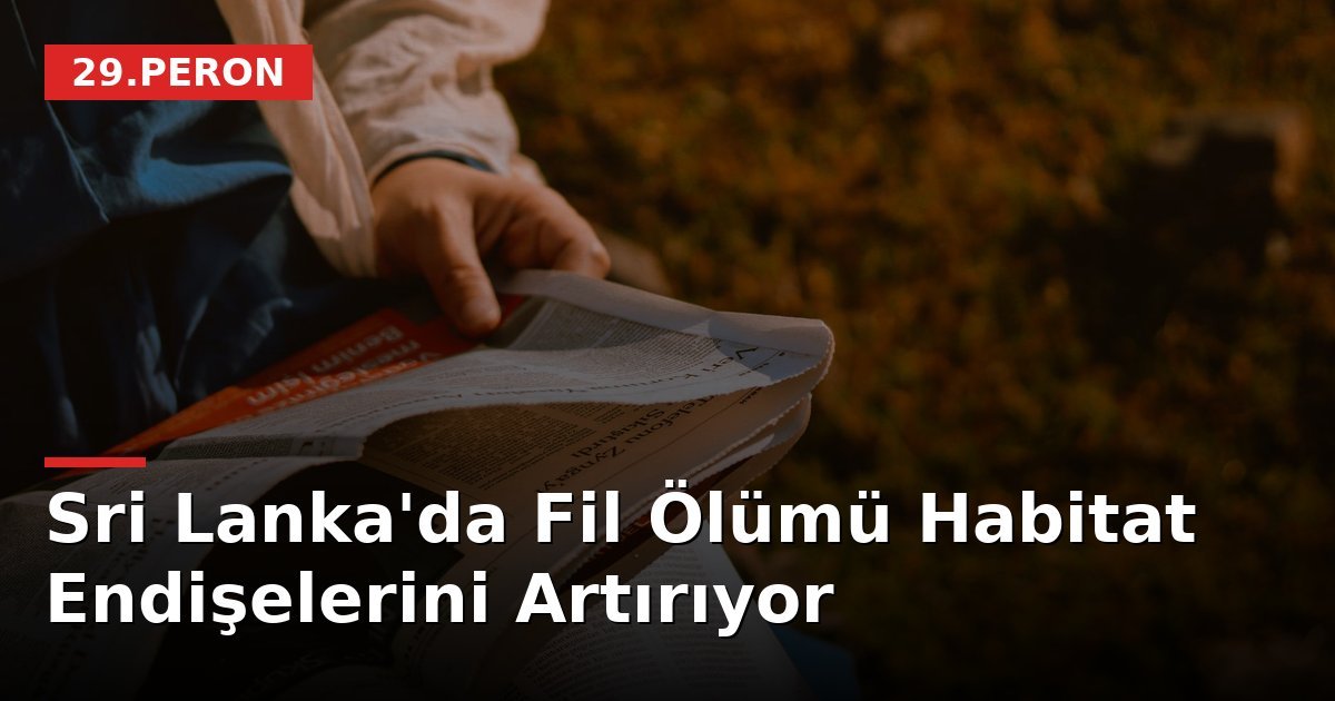 Sri Lanka'da Fil Ölümü Habitat Endişelerini Artırıyor