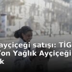 TİGEM ayçiçeği satışı: TİGEM 211,9 Ton Yağlık Ayçiçeği Satışı Yapacak