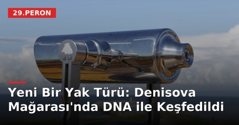 Yeni Bir Yak Türü: Denisova Mağarası'nda DNA ile Keşfedildi